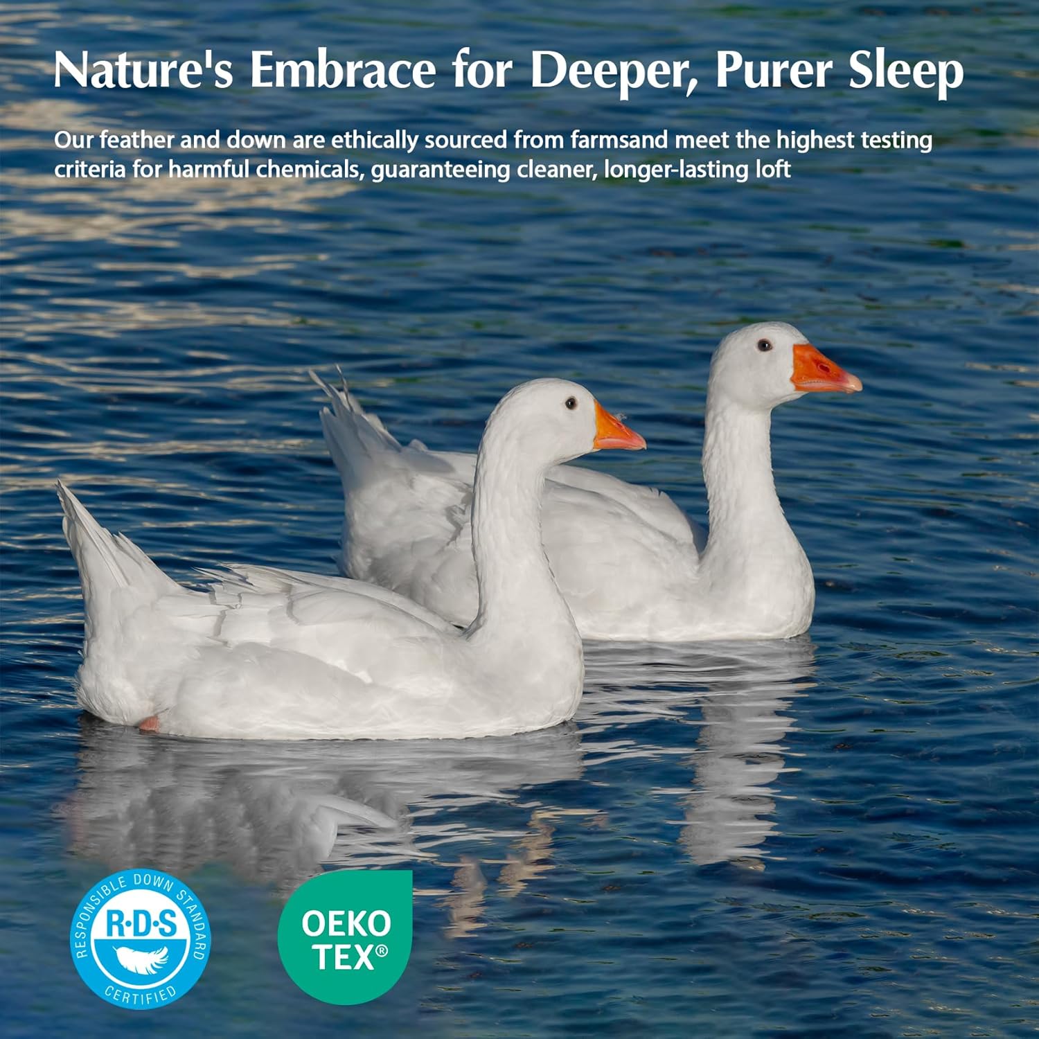 Pacific Coast Queen Comforter, White Goose Down Bed Comforter Queen Size,All Season Ultra Soft 100% Cotton Luxury Hotel Duvet Insert, 90"x90" - Image 3