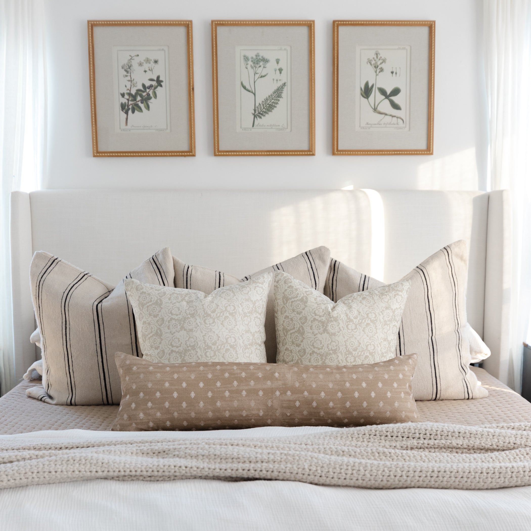 Posse Lumbar - 12x20 | 12x40 - Image 7