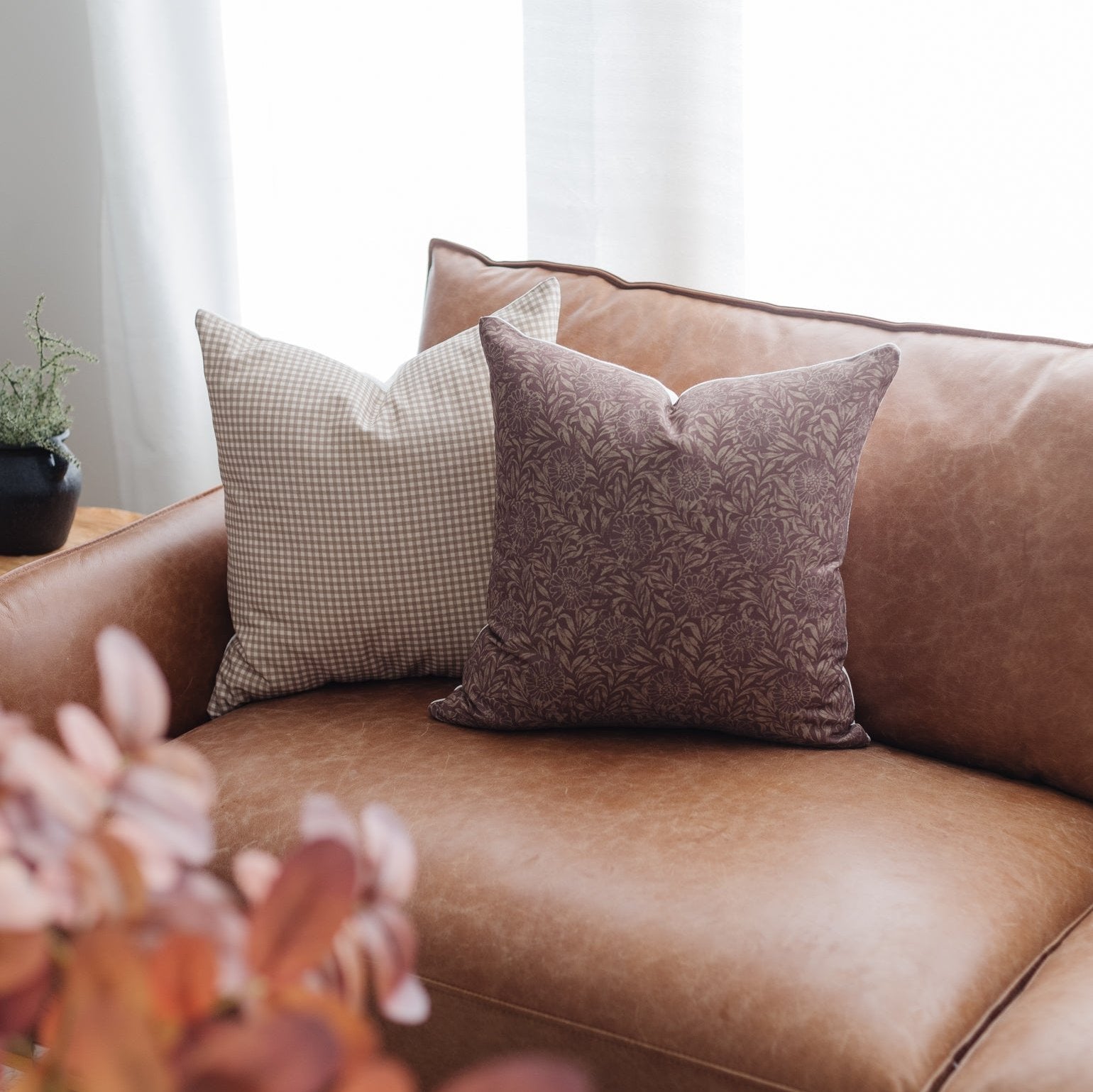 Colette - 18 | 22 | 24 - Image 8