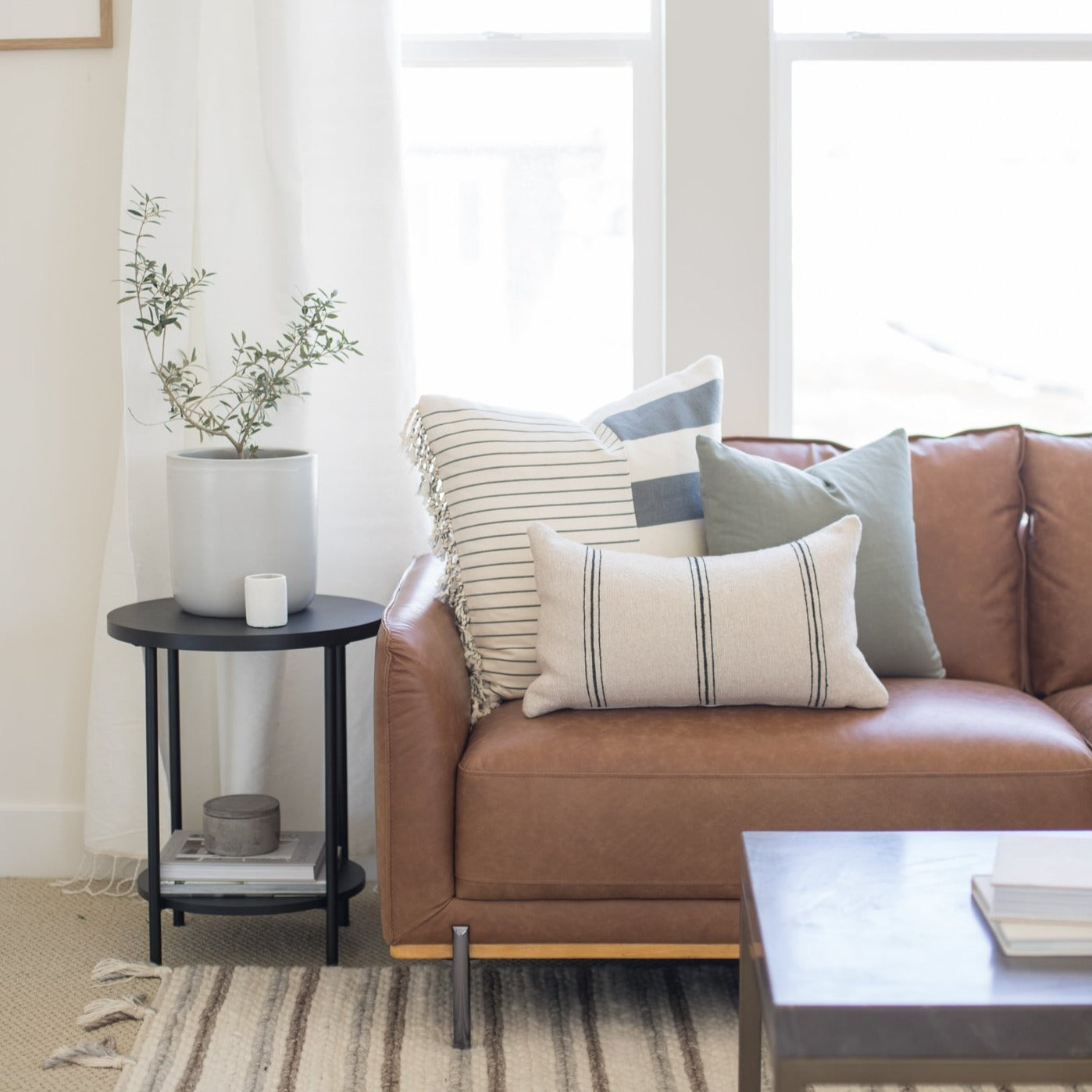 Ollie - Lumbar 12x20 | 12x40 - Image 2