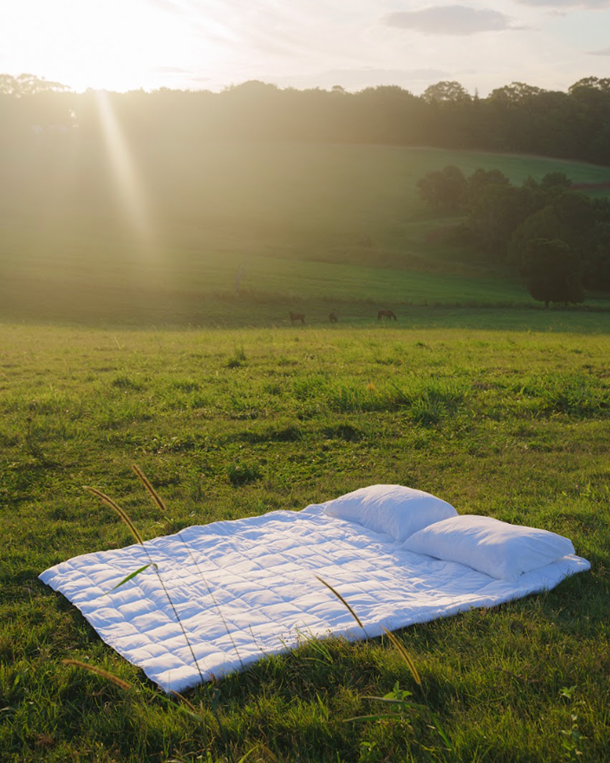 Does-It-All Duvet Insert - Image 6