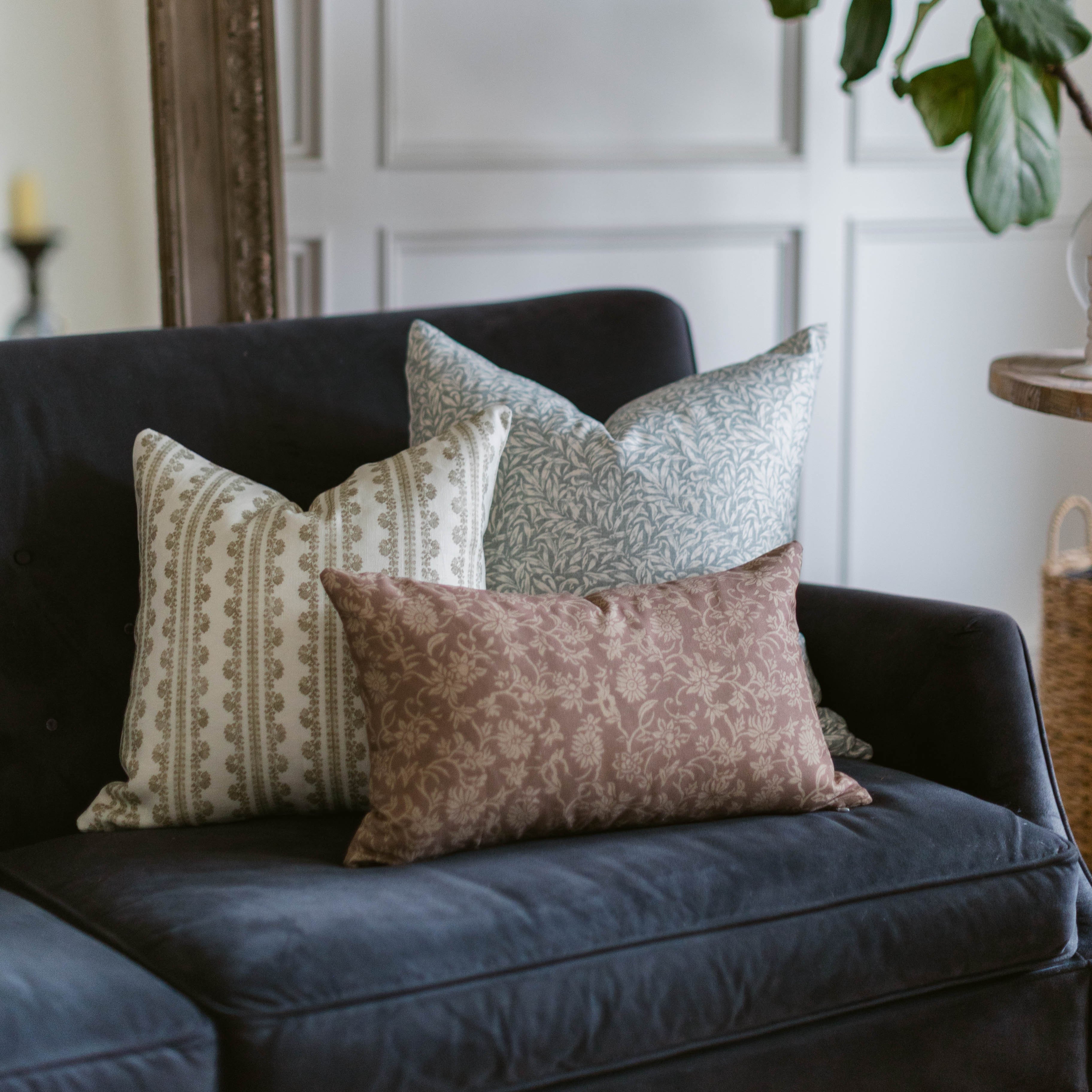 Louie - 18 | 22 - Image 5