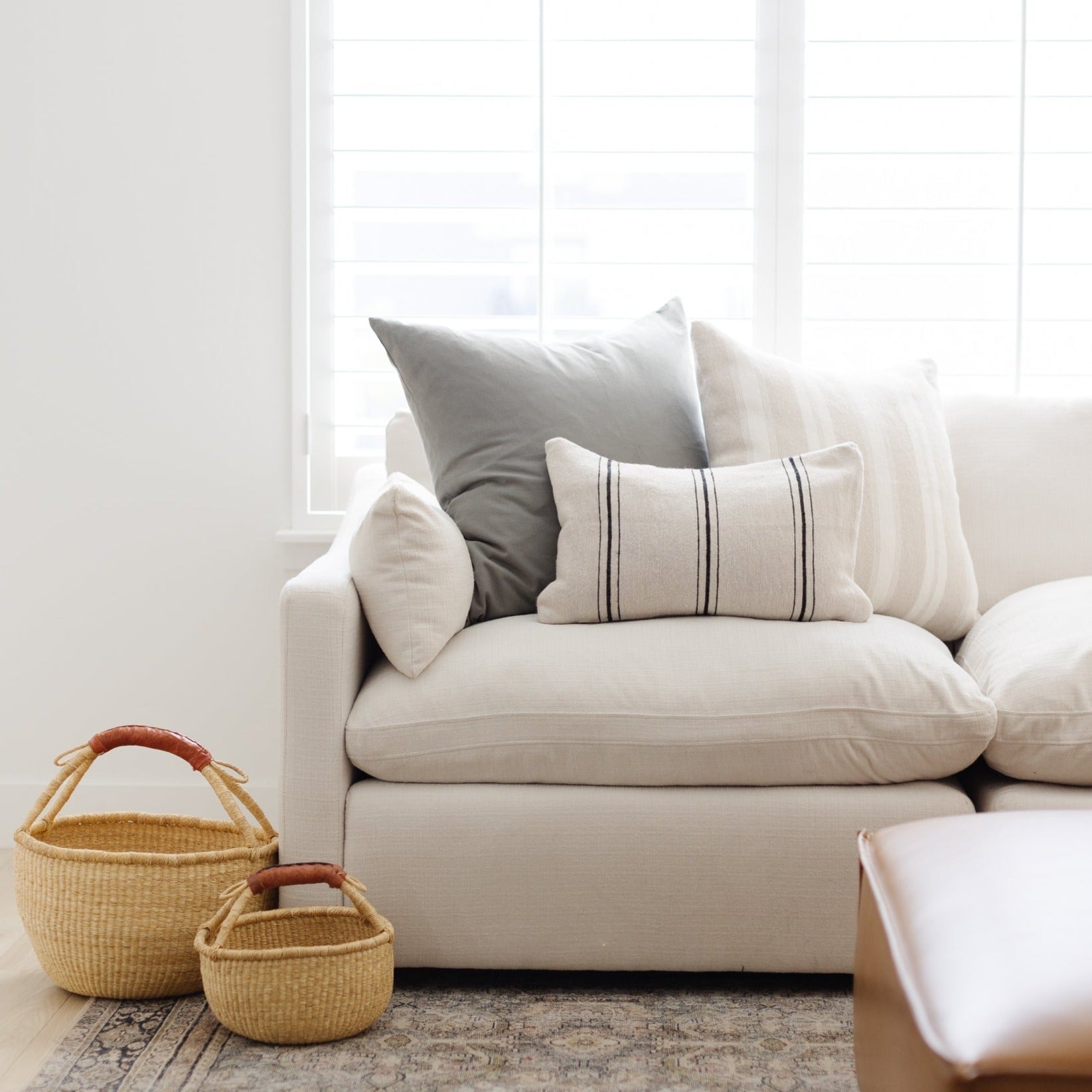 Ollie - Lumbar 12x20 | 12x40 - Image 10