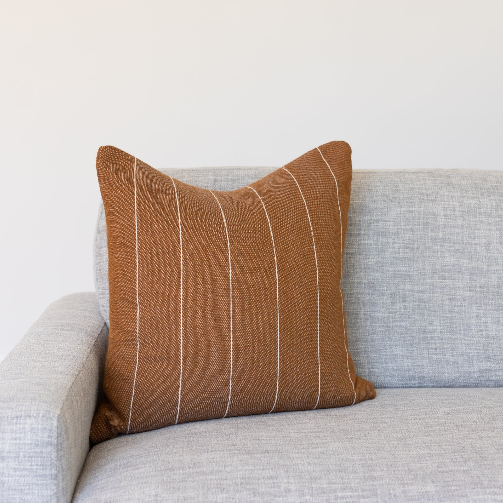 Wren in Spice - 22 | 26 - Image 4