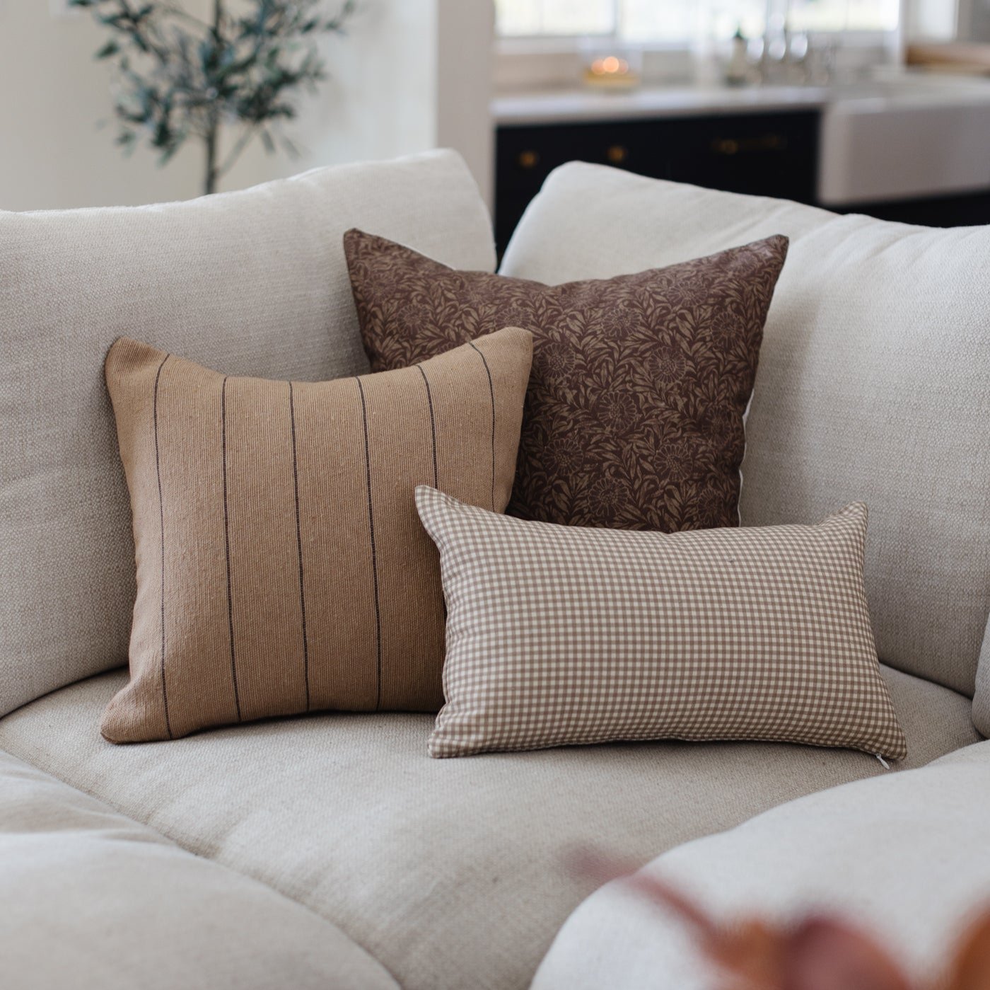 Wren In Tan with Brown Stripes - 18 | 22 - Image 3