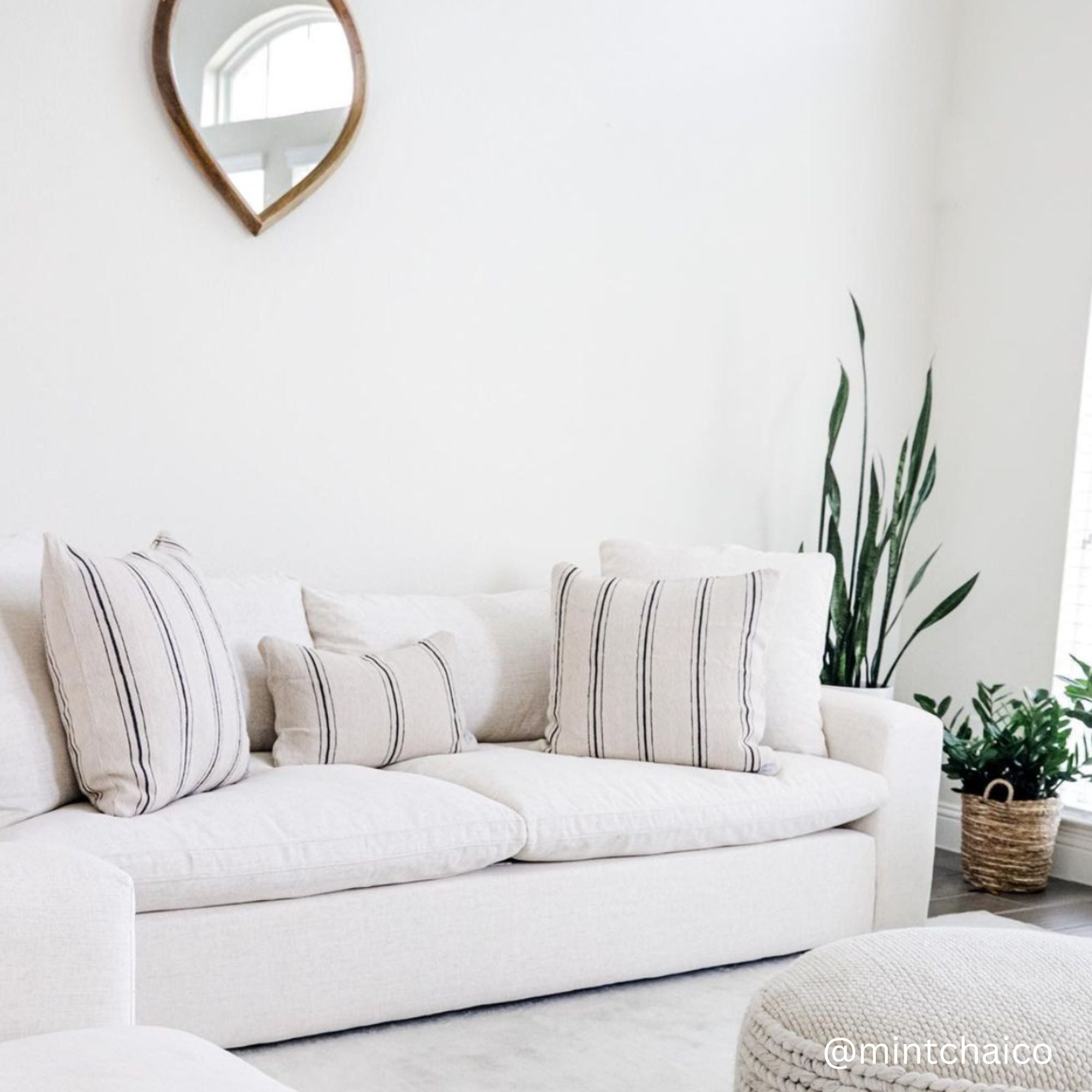 Ollie - 18 | 22 | 26 - Image 4